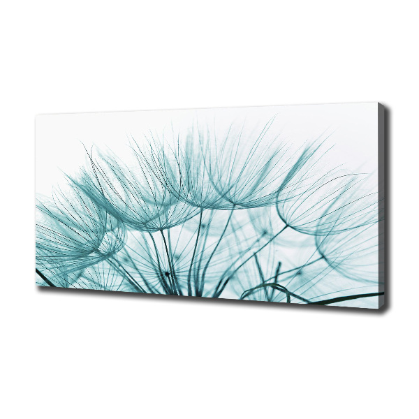 Canvas wall art Dandelion seeds