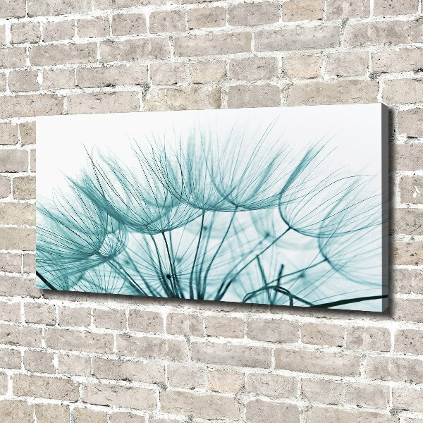 Canvas wall art Dandelion seeds