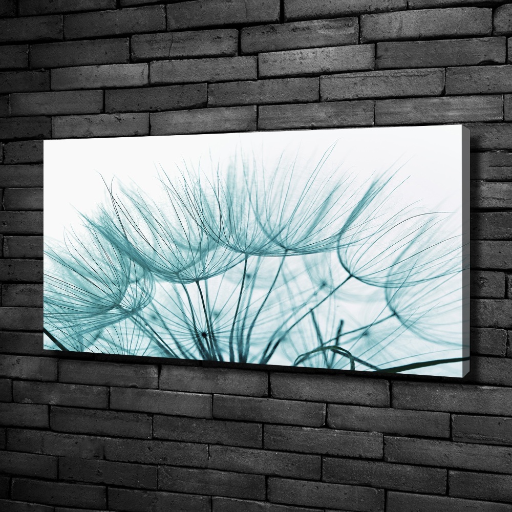 Canvas wall art Dandelion seeds