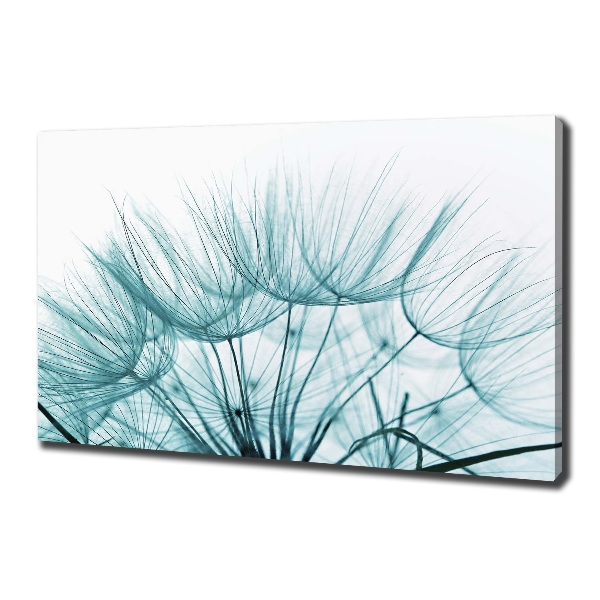 Canvas wall art Dandelion seeds