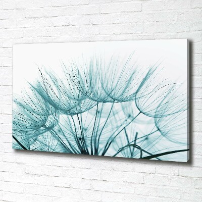 Canvas wall art Dandelion seeds