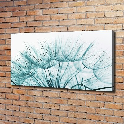 Canvas wall art Dandelion seeds