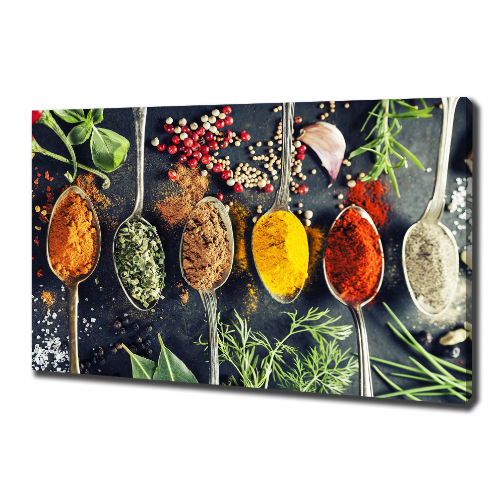 Canvas wall art Colorful spices