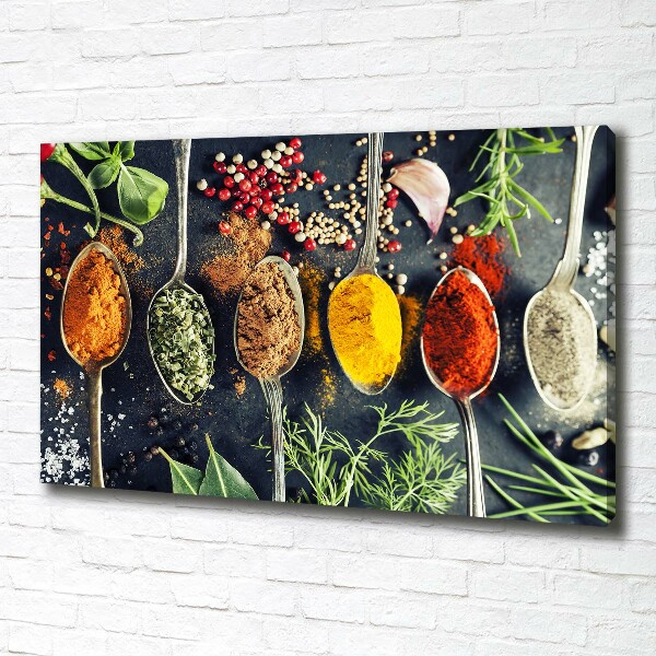 Canvas wall art Colorful spices