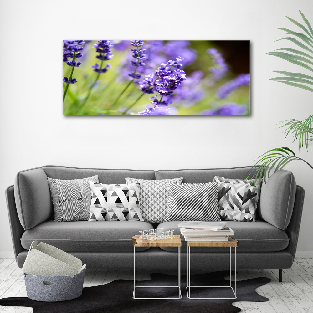 Canvas wall art Lavender