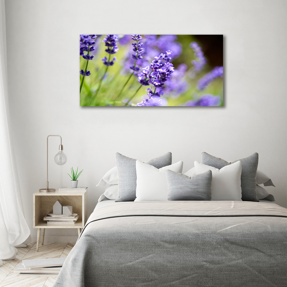 Canvas wall art Lavender