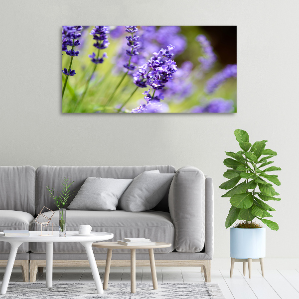 Canvas wall art Lavender