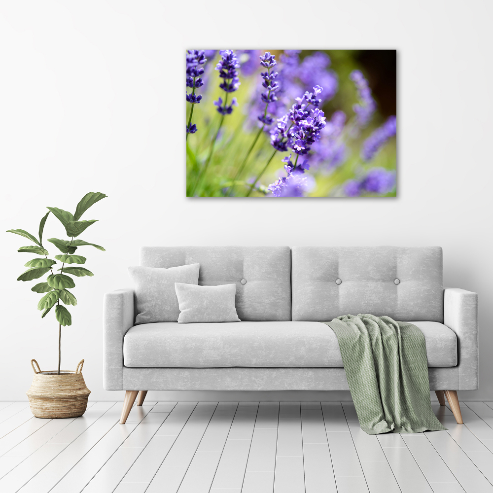 Canvas wall art Lavender