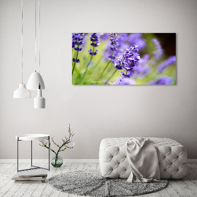 Canvas wall art Lavender