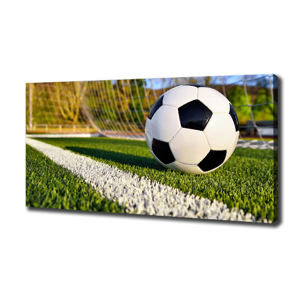 Canvas wall art Ball in the goal