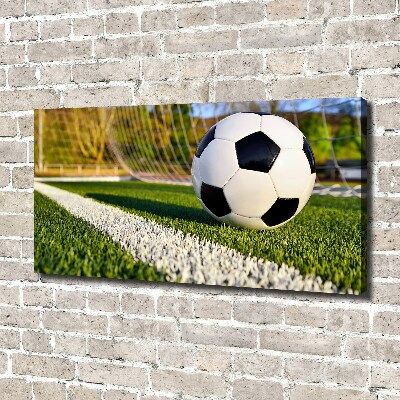 Canvas wall art Ball in the goal