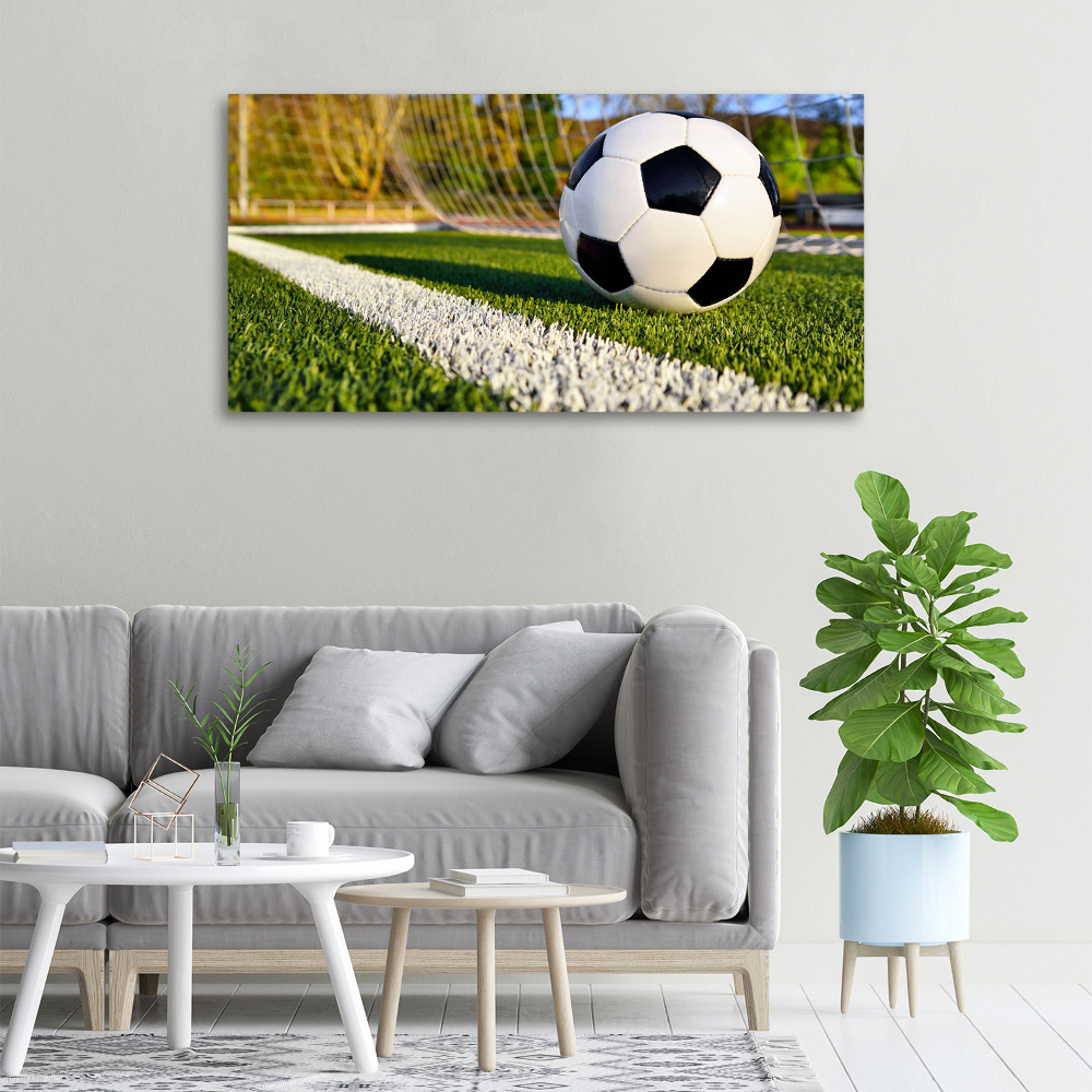 Canvas wall art Ball in the goal