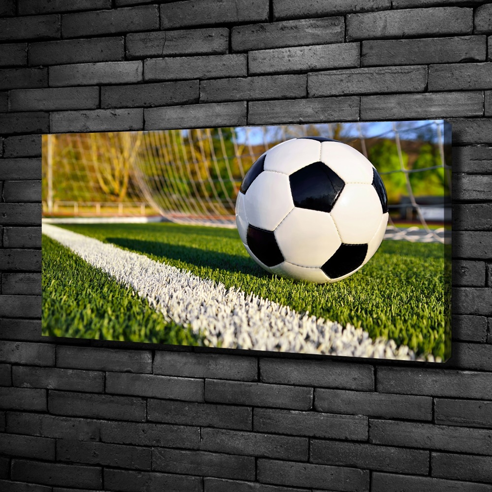 Canvas wall art Ball in the goal