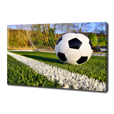 Canvas wall art Ball in the goal