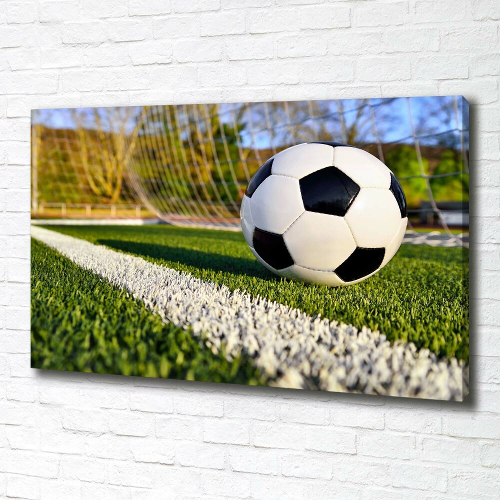 Canvas wall art Ball in the goal