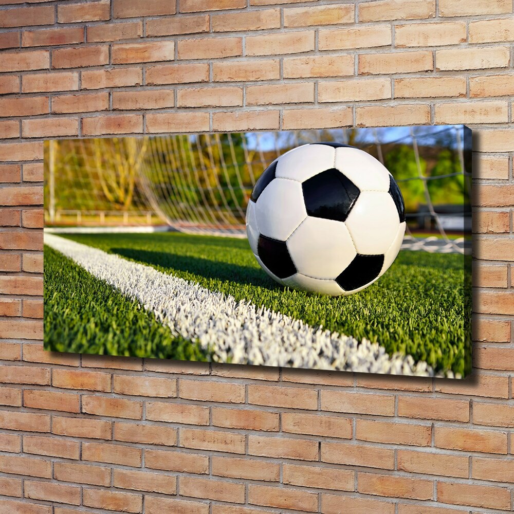 Canvas wall art Ball in the goal