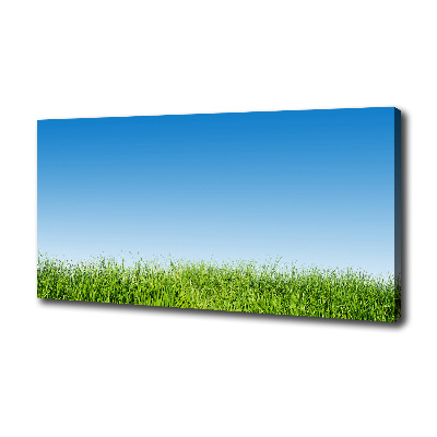 Canvas wall art Grass