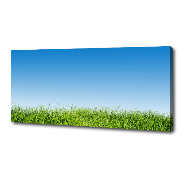 Canvas wall art Grass