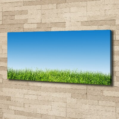 Canvas wall art Grass