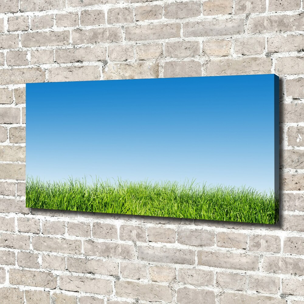 Canvas wall art Grass