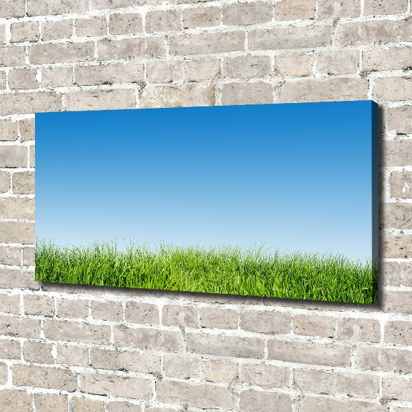 Canvas wall art Grass