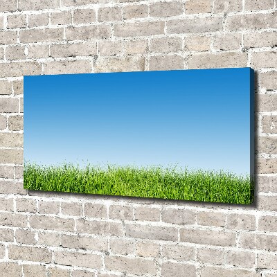 Canvas wall art Grass