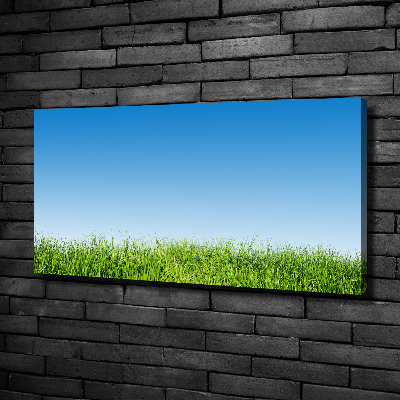 Canvas wall art Grass