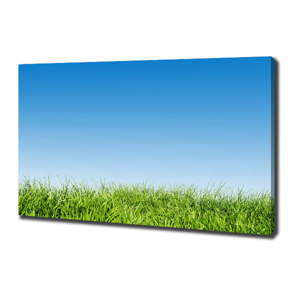 Canvas wall art Grass