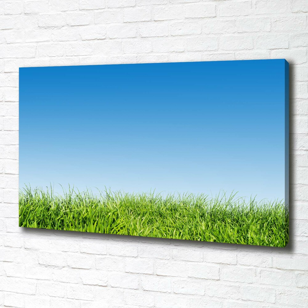 Canvas wall art Grass