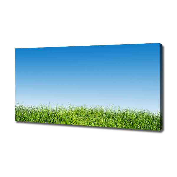 Canvas wall art Grass