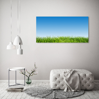 Canvas wall art Grass