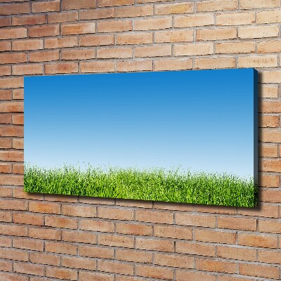 Canvas wall art Grass