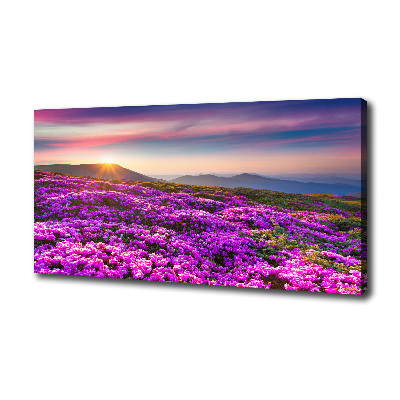 Canvas wall art Flowers in the mountains