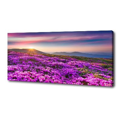 Canvas wall art Flowers in the mountains