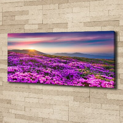 Canvas wall art Flowers in the mountains