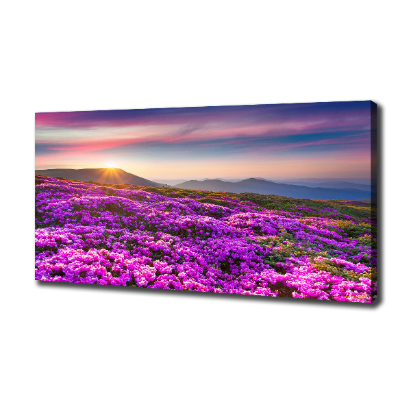 Canvas wall art Flowers in the mountains