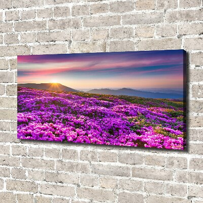 Canvas wall art Flowers in the mountains