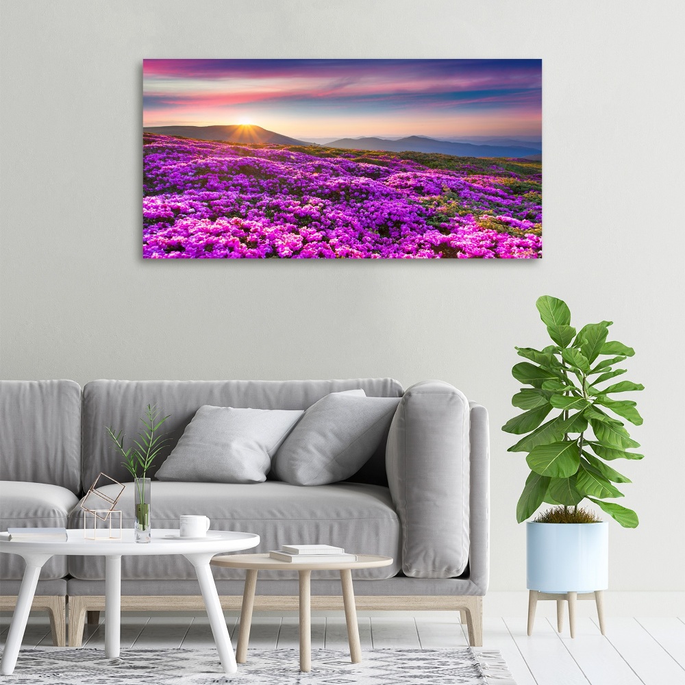 Canvas wall art Flowers in the mountains