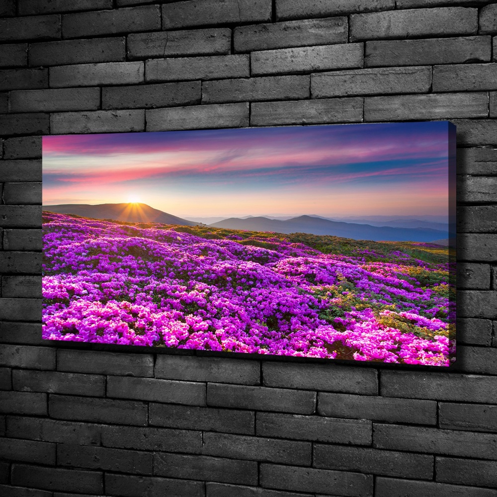 Canvas wall art Flowers in the mountains