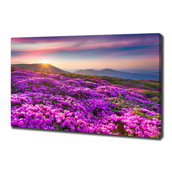 Canvas wall art Flowers in the mountains