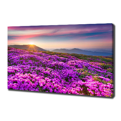 Canvas wall art Flowers in the mountains