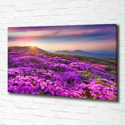 Canvas wall art Flowers in the mountains