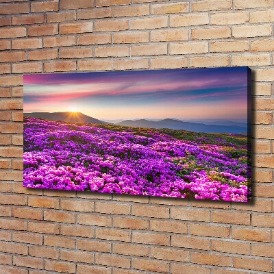 Canvas wall art Flowers in the mountains