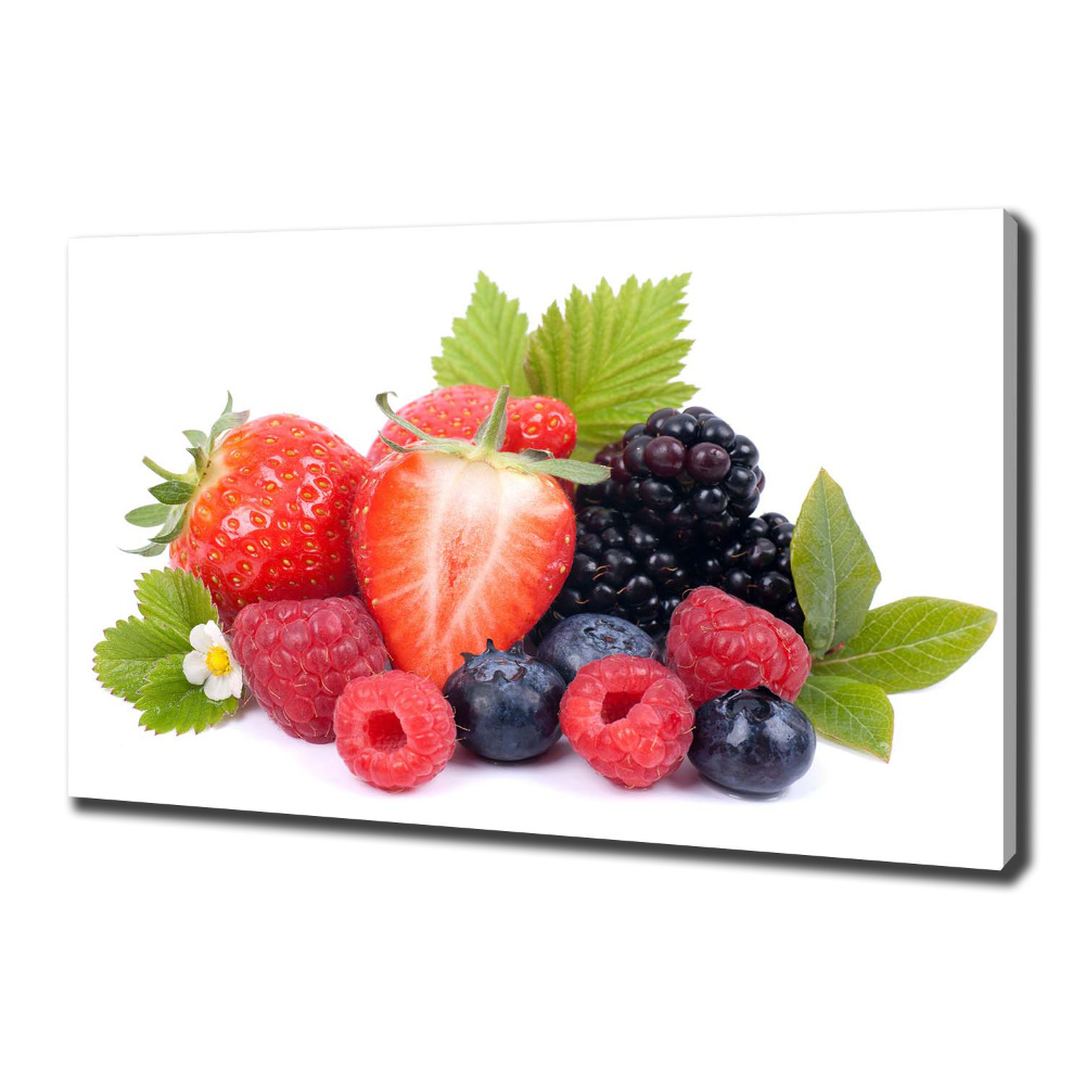 Canvas wall art Forest fruits