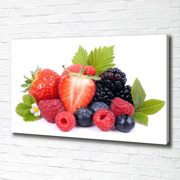 Canvas wall art Forest fruits