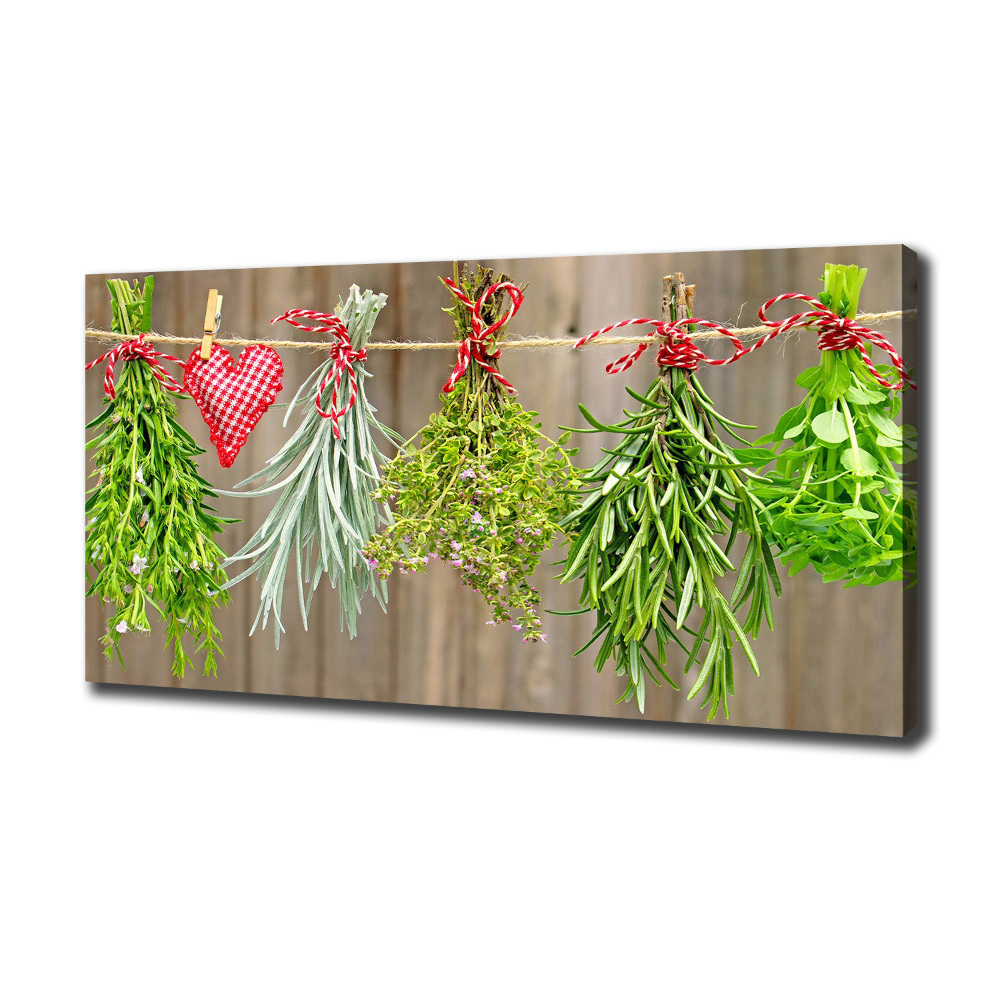 Canvas wall art Herbs on a string