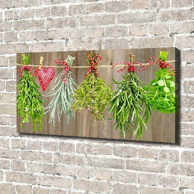 Canvas wall art Herbs on a string