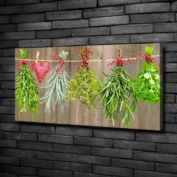 Canvas wall art Herbs on a string