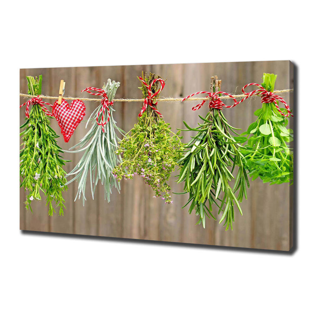 Canvas wall art Herbs on a string