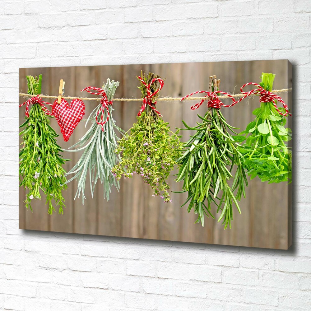 Canvas wall art Herbs on a string